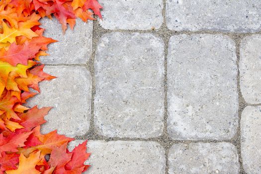 Fall Oak Tree Leaves Border Over Stone Bricks Paver Patio