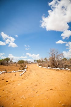Kenya. Blue sky on this orange road in the middle of African Savana, Tsavo East National Park