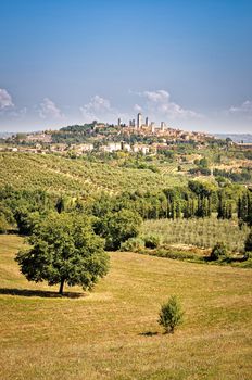 San Gimignano village and fields and meadows landscape view