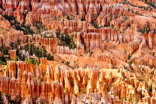 Bryce canyon mountains detail view, national park, USA
