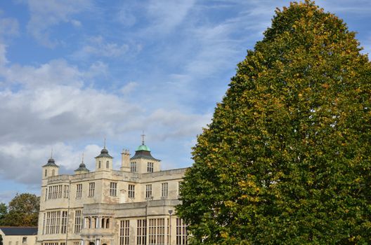 stately home with tree