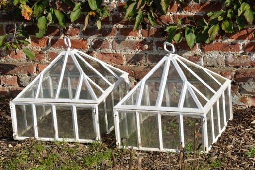 white cloches