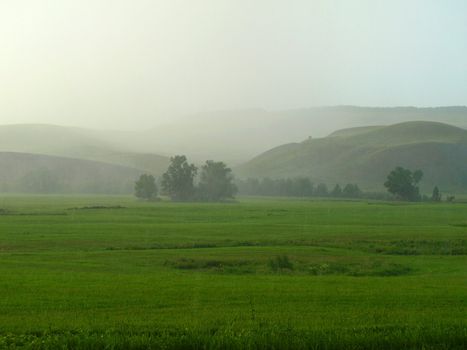 Summer landscape with downpour