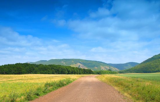 Road in the gorge. Summer landscape.