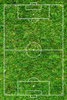 Football or soccer green field