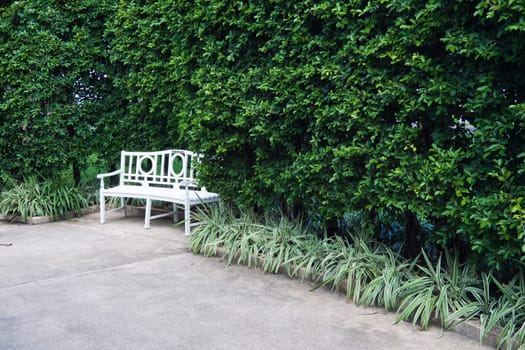 benches in the park