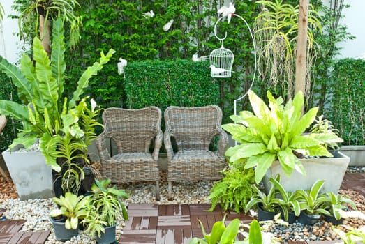 wooden chair in the small garden, with bird cage