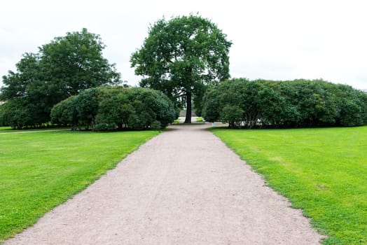 Streight road path with trees and grass along the side on a sunny day