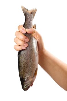 Holding a raw fish isolated on white background