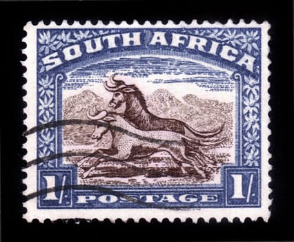 SOUTH AFRICA - CIRCA 1965: A stamp printed in South Africa shows image of two goats galloping, series, circa 1965
