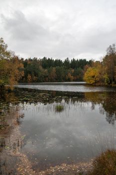 Norwegian autumn landscape