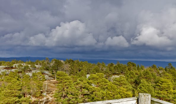 view over forest with cloudy sky - norway