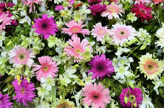 Close-up of daisies and orchids flower arrangement