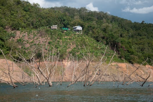 Balahala Forest in yala, thailand - Balahala forest is most perfectly forest in South of Thailand