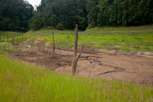 Balahala Forest in yala, thailand - Balahala forest is most perfectly forest in South of Thailand