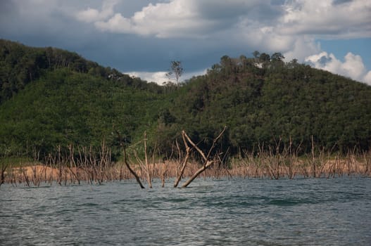 Balahala Forest in yala, thailand - Balahala forest is most perfectly forest in South of Thailand