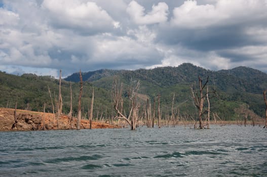 Balahala Forest in yala, thailand - Balahala forest is most perfectly forest in South of Thailand