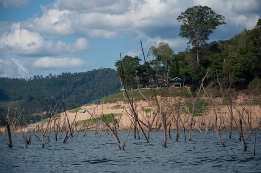 Balahala Forest in yala, thailand - Balahala forest is most perfectly forest in South of Thailand