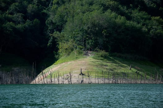 Balahala Forest in yala, thailand - Balahala forest is most perfectly forest in South of Thailand