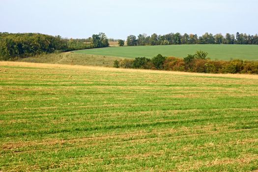 Rural landscape in early autumn. Fields, forest, sky