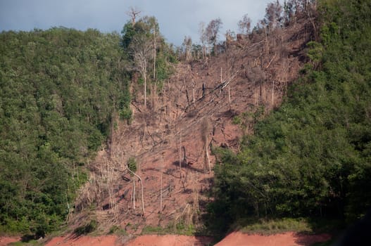 Balahala Forest in yala, thailand - Balahala forest is most perfectly forest in South of Thailand