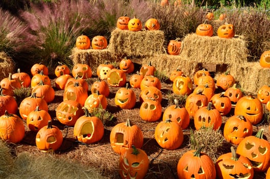 Jack-o-lanterns on display for Halloween