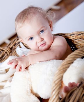 cute little baby infant in basket with white teddy bear