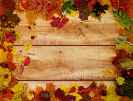 Horizontal Frame of Autumn Leafs and Yield on Wood background