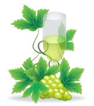 glasses of white wine grapes on a background of green grapes