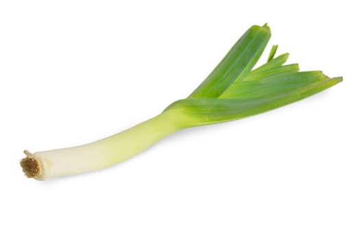 One fresh leek isolated on white background.