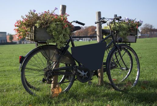 old bike with flowers on green grass