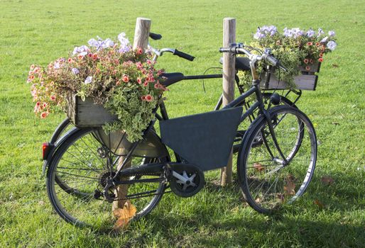 old bike with flowers on green grass
