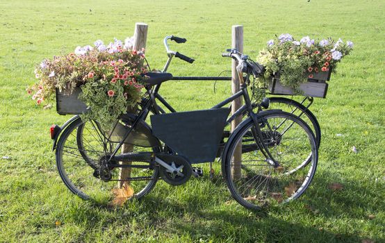 old bike with flowers on green grass