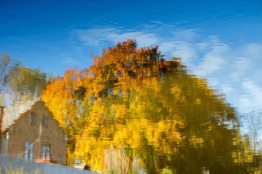 Realistic rural water reflection in the pond rotated 180 degrees