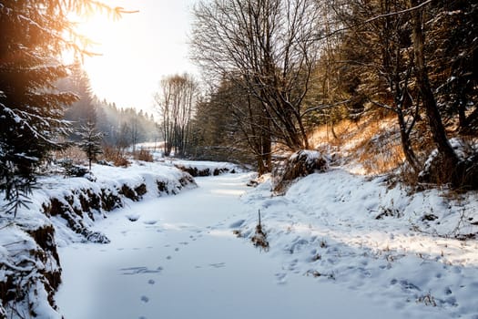 Sunny morning in winter landscape with frozen creek