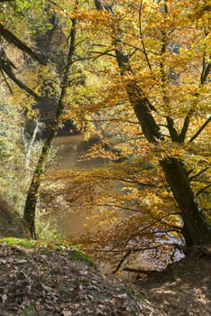 autumn landscape