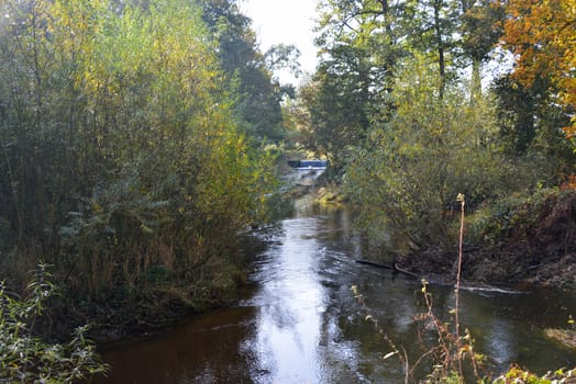 autumn landscape in holland with small river 