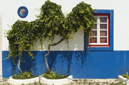 Detail of a traditional farmhouse in the wine region of Borba, Alentejo, Portugal