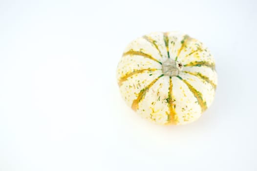 Small ornamental pumpkin with a light colored stem isolated on a white background