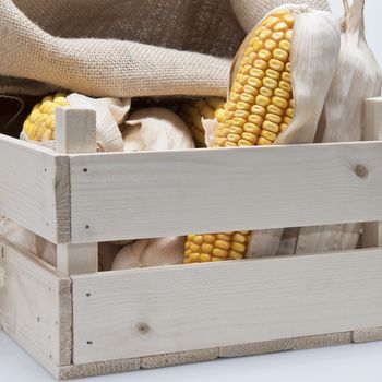 Wooden crate full of corn ears isolated on a white background