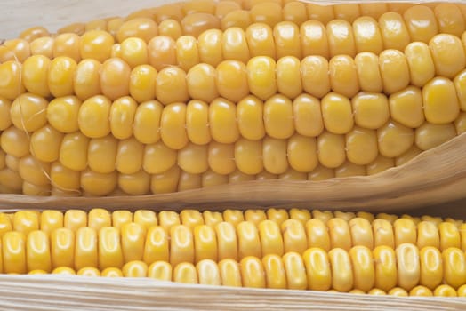 Closeup from some dried corn ears showing the kernels with good detail