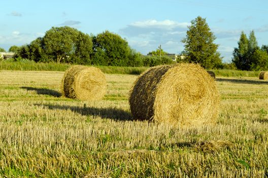 Straw bales shadows in harvested agricultural field in autumn