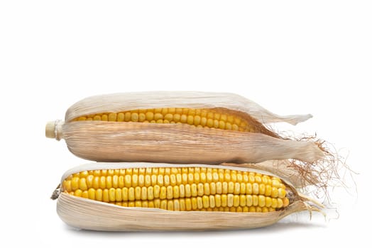 Dry corn ears isolated over a white background
