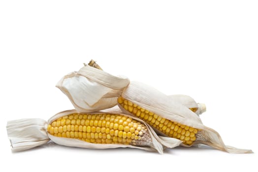 Dry corn ears isolated over a white background

