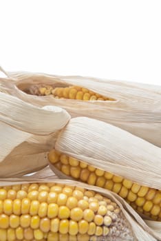 Dry corn ears isolated over a white background
