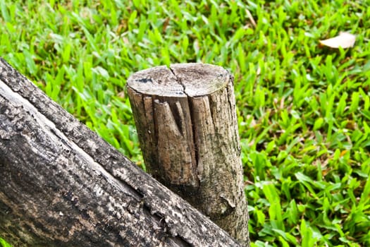 Old Timber detail on green grass background.