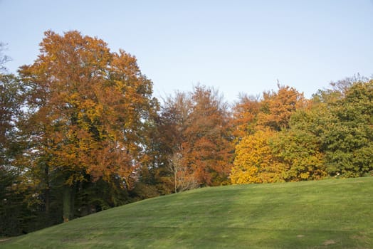 landscape in autumn collors