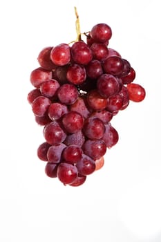 Red grape isolated on white background