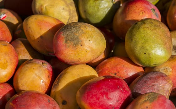 mangos with yellow green and red parts