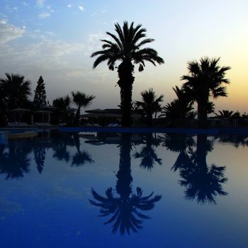 dawn at early morning over peaceful still swimming pool with palm silhouettes in summer resort in Tunisia